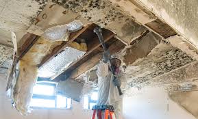 Best Mold Prevention Services  in Mount Arlington, NJ